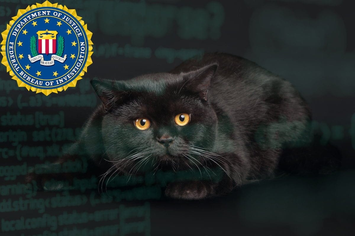 BlackCat/ALPHV: A New Age Ransomware Threat